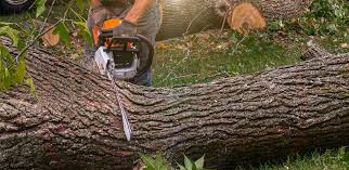 Best Artificial Turf Installation  in Santa Nella, CA
